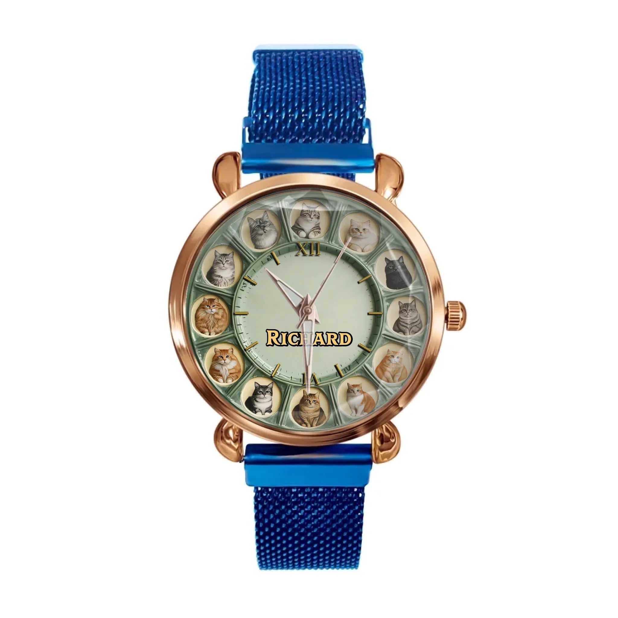 d85dd91b-d379-4a33-afcf-f2a36335daf4