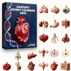 š„Limited Edition, Only 100 Sets Left! - 2025 Anatomy Advent Calendar