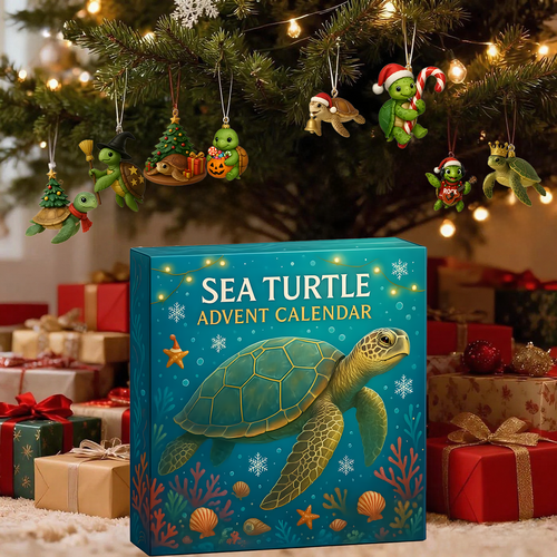 🎄Christmas Sea Turtle Advent Calendar