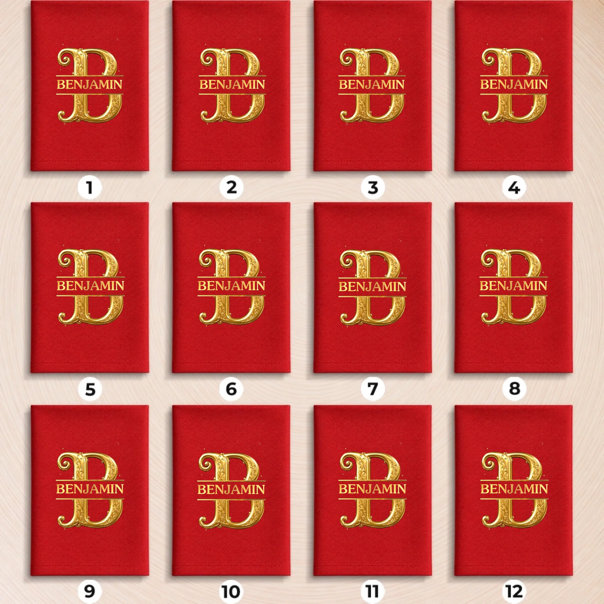 载体