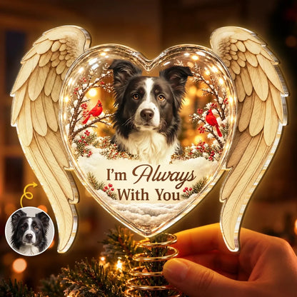 Custom Pet Photo Memorial Christmas Decor - Personalized LED Tree Topper