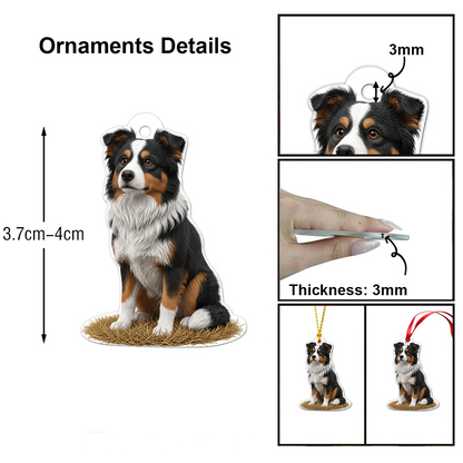 24 Days The Nativity Advent Calendar 2025